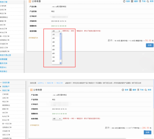 選擇續(xù)費年限并進行支付